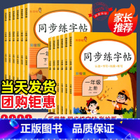 [热卖❤️1本]同步练字帖 二年级上 [正版]2024新版同步练字帖小学生一二三四五六年级上下册人教版语文每日一练控笔训