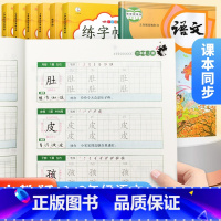 2本:六年级练字帖上册+下册 小学通用 [正版]人教版一二年级上下册练字帖三四五六年级上册下册练字字帖全套看拼音写词语控