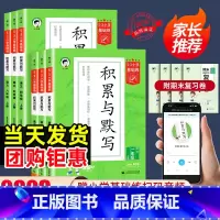 53单元归类复习+53句式训练大全 一年级上 [正版]2023版53基础练积累与默写一二三四五六年级上册下册人教版小学生