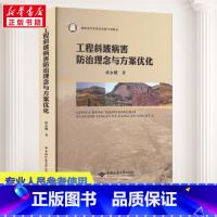 [正版]工程斜坡病害防治理念与方案优化 成永刚 著 地质学专业科技 书店图书籍 中国地质大学出版社