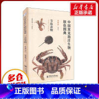 [正版]中国常见海洋生物原色图典 节肢动物 魏建功,李新正 编 海洋学少儿 书店图书籍 中国海洋大学出版社