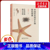 [正版]中国常见海洋生物原色图典 腔肠动物 棘皮动物 魏建功,曾晓起,李洪武 编 海洋学少儿 书店图书籍 中国海洋大学出
