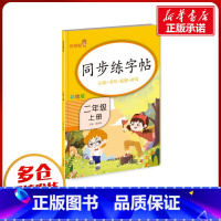 [正版]同步练字帖-二年级(上) 钱赛湖 着 自由组合套装文教 书店图书籍 开明出版社
