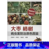 [正版]红枣柿树病虫害防治原色图鉴 无 著作 吕佩珂 等 编者 农业基础科学专业科技 书店图书籍 化学工业出版社