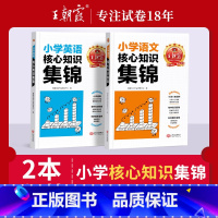 小学核心知识锦集2本[语文+英语] 小学通用 [正版]小学核心知识锦集语文数学英语基础知识大盘点一二三四五六年级小学知识