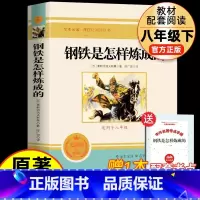 [配套人教版]钢铁是怎样炼成的 [正版]书籍 经典常谈和钢铁是怎样炼成的初中原着傅雷家书八年级下册必读书文学名著完整版语