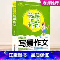 初中生写景作文 国一上 [正版]2023秋浙江期末七八九年级上册下册语文数学英语科学历史与社会道德与法治人教版浙教版外研