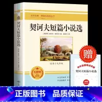 [配套人教版]契诃夫短篇小说选 [正版]书籍 简爱和儒林外史全2册原着完整版九年级下册必读书无删减初三初中学生课外书阅读