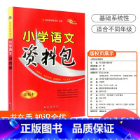 小学语文资料包 小学通用 [正版]小学语文资料包版人教版1-6年级全国通用版 小升初语文基础知识大全小学生一二三四五六年