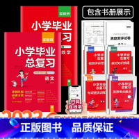 [2本]语文+数学 人教版 小学升初中 [正版]2023版实验班小学毕业总复习语文数学英语全套人教版小升初毕业升学总复习
