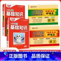 [实惠4本装]基础知识+小升初押题卷 语数 小学升初中 [正版]万唯小学基础知识与初中衔接大全手册语文数学英语小升初总复