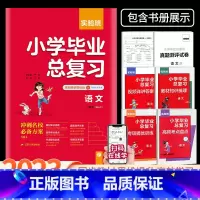 语文 [人教版] 小学升初中 [正版]2023版实验班小学毕业总复习语文数学英语全套人教版小升初毕业升学总复习资料专项测