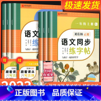 语文同步练字帖 二年级上 [正版]2023版刘有林正楷控笔训练字帖金陵书山有林小学语文同步练字帖一年级二年级三年级四年级