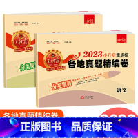 [通用版]小升初真题卷 语文+数学 小学升初中 [正版]2023新版王朝霞小升初重点校各地真题精编卷语文数学英语人教版全