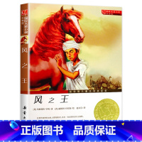 风之王 升级版 [正版]国际大奖小说 升级版 风之王 青少年语文课外书 书籍 幼儿童文学图书 故事书读物 小学生三年级四