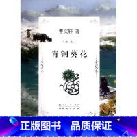 [正版]青铜葵花 曹文轩文集 曹文轩 天天出版社 中国儿童文学 9787501605071