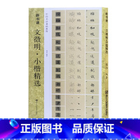 [正版]文徽明小楷精选 落花诗册+前后赤壁赋 技法精析+临摹范例+集字作品+高清原碑帖新书谱中国书法基础教程 文