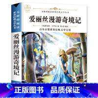 爱丽丝漫游奇境记 [正版]配套考试重点故乡 鲁迅原着野草 彷徨全套4册六年级必读课外书鲁迅的书6年级课外阅读书籍老师散文