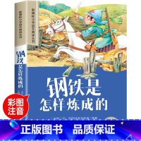 钢铁是怎样练成的 [正版]世界100个自然奇观彩图注音版小学生一年级阅读课外书必读老师语文基础阅读配套丛书二三年级读物带