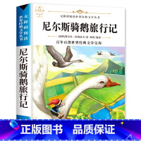 尼尔斯骑鹅旅行记 [正版]配套考试重点故乡 鲁迅原着野草 彷徨全套4册六年级必读课外书鲁迅的书6年级课外阅读书籍老师散文
