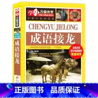 成语接龙 [正版]写给儿童的中国地理百科+世界儿童地理全书 地理书绘本dk百科全书初中青少年小学生自然科普类知识大全书环