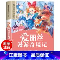 爱丽丝漫游奇境记 [正版]世界100个自然奇观彩图注音版小学生一年级阅读课外书必读老师语文基础阅读配套丛书二三年级读物带