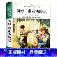 汤姆索亚历险记 [正版]配套考试重点故乡 鲁迅原着野草 彷徨全套4册六年级必读课外书鲁迅的书6年级课外阅读书籍老师散文作