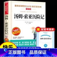 [单本]汤姆索亚历险记 [正版]全套4册 鲁滨逊漂流记六年级下册的课外书必读原著完整版汤姆索亚历险记爱丽丝漫游奇境尼尔斯