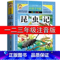 昆虫记(注音版) [正版]昆虫记完整版法布尔原著小学生三四五六年级必读课外阅读书籍彩图老师6-7-8-9-12岁初中生青