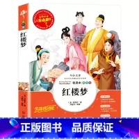 红楼梦 [正版]昆虫记完整版法布尔原著小学生三四五六年级必读课外阅读书籍彩图老师6-7-8-9-12岁初中生青少年版儿童