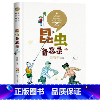 [三年级下册]昆虫备忘录 [正版]全套13册 三年级必读的课外书老师方金色的草地搭船的鸟父亲树林和鸟拉封丹寓言原著小学生