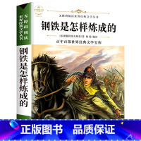 钢铁是怎样炼成的 [正版]六年级必读课外阅读书籍原著 全集经典读本小学老师 小学生小说 适合6年级学生看的课外书故乡鲁迅