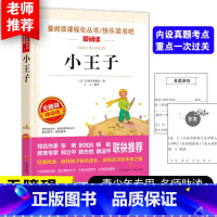 小王子 [正版]小王子书 圣埃克苏佩里原著 世界名著 四五六年级必读课外书籍 老师读物 适合儿童看的课外阅读名著图书
