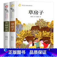 [全2册]青铜葵花+草房子 [正版]草房子原著完整版五六年级必读适合四年级阅读的课外书上册下册曹文轩书籍系列儿童文学青铜