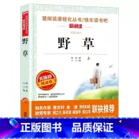 野草 [正版]全套6册 故乡狂人日记鲁迅原著 阿q正传 朝花夕拾六年级必读课外书鲁迅作品集经典全集的故乡 6年级7年级课