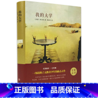 [精装版]我的大学 [正版]全4册高尔基三部曲原着 童年 我的大学 在人间 母亲 六年级必课外书青少年初中小学生阅读世界