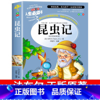 昆虫记 [正版]昆虫记原著完整版法布尔著全集小学生三四年级下册必读的课外书老师美绘少儿版人民儿童文学教育阅读书籍山东美术