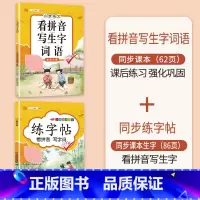 [2本]看拼音写词语+练字帖 六年级下 [正版]看拼音写词语一年级二年级三四五六年级上册语文人教版小学生注音生字拼音拼读
