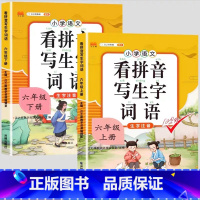 [2本]看拼音写词语上册+下册 六年级上 [正版]看拼音写词语一年级二年级三四五六年级上册语文人教版小学生注音生字拼音拼