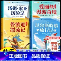 [加厚完整版]六年级下册快乐读书吧 [正版]鲁滨逊漂流记六年级课外书下册尼尔斯骑鹅旅行记爱丽丝漫游奇境记仙境汤姆索亚历险