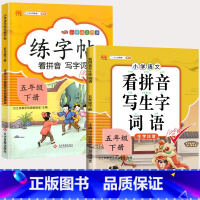 练字帖+看拼音 五年级下 [正版]五年级上册下册语文同步练字帖人教版小学每日一练小学生5下英语pep衡水体写字课课练硬笔