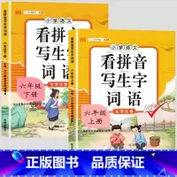 [2本]看拼音写词语上册+下册 一年级下 [正版]看拼音写词语一年级二年级三四五六年级上册语文人教版小学生注音生字拼音拼