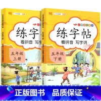 练字帖上册+下册 五年级上 [正版]五年级上册下册语文同步练字帖人教版小学每日一练小学生5下英语pep衡水体写字课课练硬