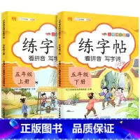 练字帖上册+下册 五年级上 [正版]五年级上册下册语文同步练字帖人教版小学每日一练小学生5下英语pep衡水体写字课课练硬