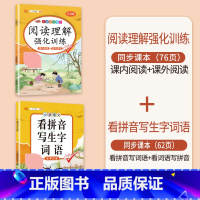 [2本]看拼音写词语+阅读理解 二年级上 [正版]看拼音写词语一年级二年级三四五六年级上册语文人教版小学生注音生字拼音拼