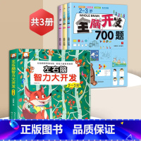 2-3岁全脑开发+左右脑智力大开发[全4册] [正版]全脑开发700题2-3岁1000早教书幼儿园智力数学小班思维训练逻