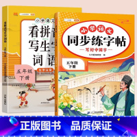 同步练字帖+看拼音写词语 六年级下 [正版]五年级下册语文同步练字帖人教版写好中国字小学每日一练小学生英语衡水体5下学期
