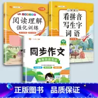 同步作文+看拼音+阅读理解 二年级下 [正版]小学语文专项训练一年级练习册全套看拼音写词语二年级上册三四五六年级天天练人