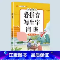 看拼音写生字词语 五年级上 [正版]小学语文专项训练一年级练习册全套看拼音写词语二年级上册三四五六年级天天练人教版练字帖