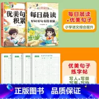 [读+写/全4册]好词好句好段+优美句子 练字帖 小学通用 [正版]小学生好词好句好段大全小学生语文作文素材优美句子积累